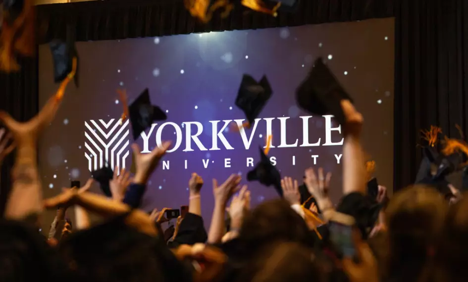 Yorkville University | Transform Your Life Through Education